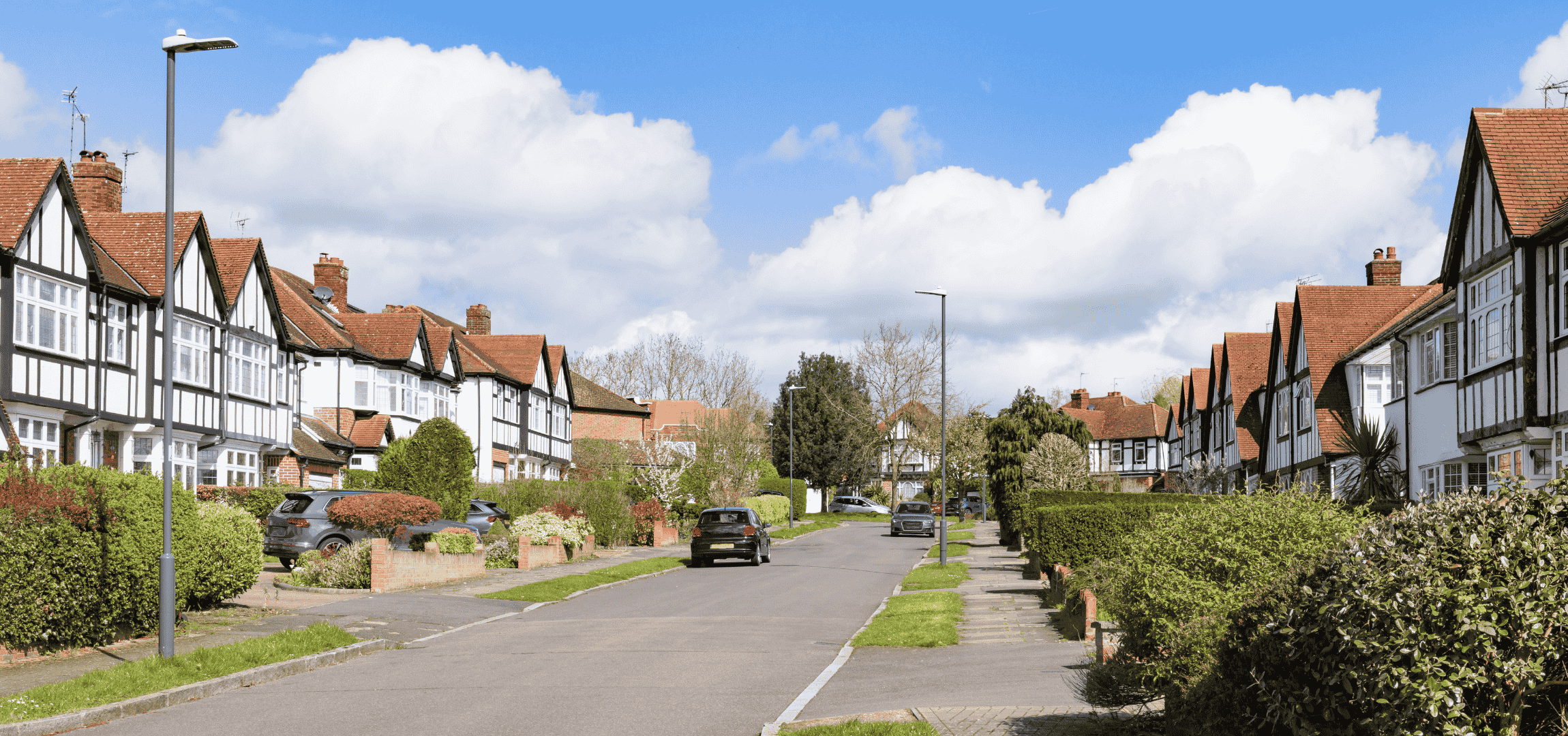 Untitled design (71)